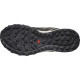 Salomon Wander GTX